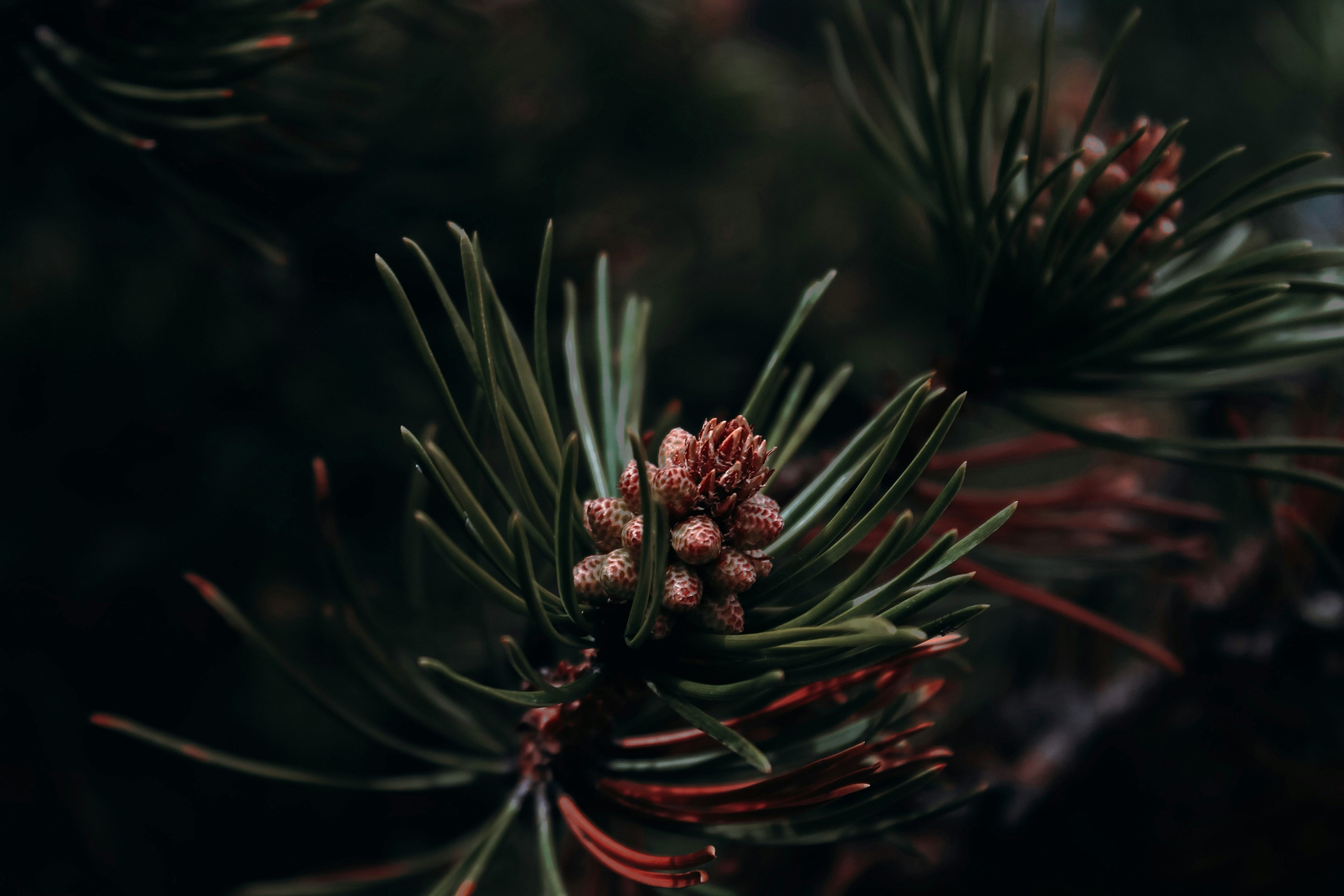 Van Gisbergen Makelaardij