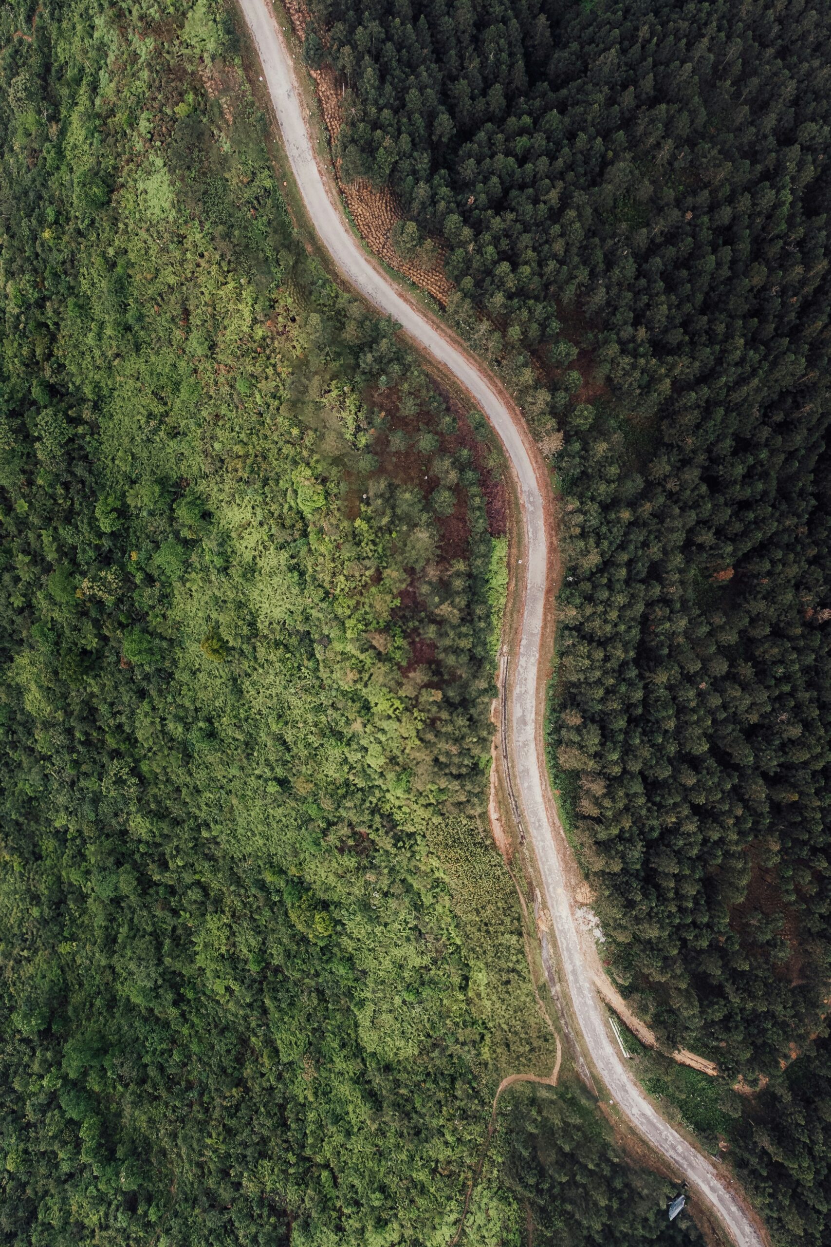 Van Gisbergen Makelaardij